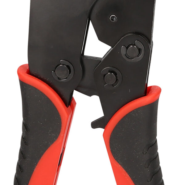 FOT_PRO_VAR_115.1570.6_SALL_AING_V1