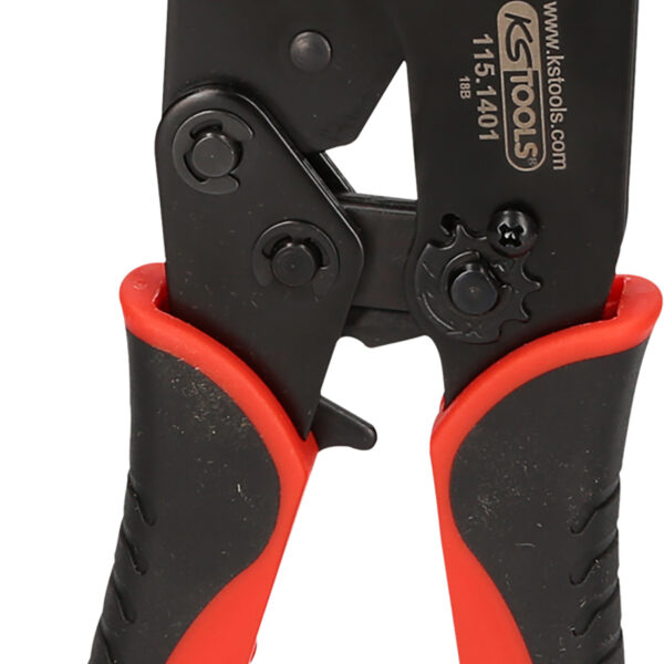 FOT_PRO_VAR_115.1485.4_SALL_AING_V1