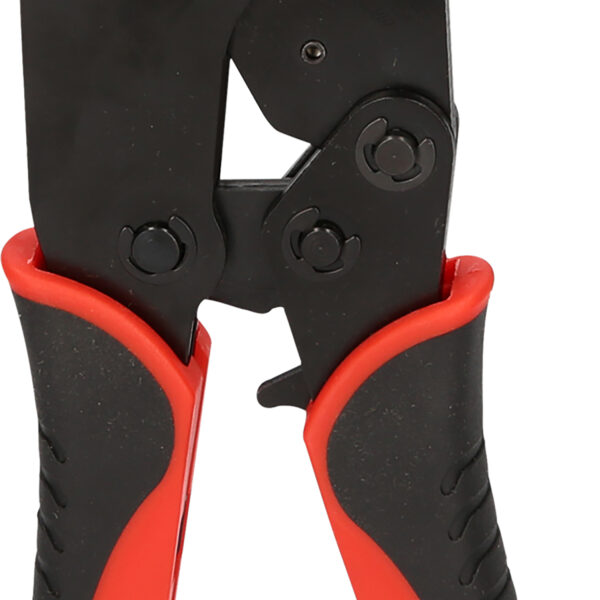 FOT_PRO_VAR_115.1485.6_SALL_AING_V1