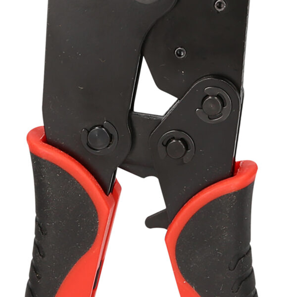 FOT_PRO_VAR_115.1475.6_SALL_AING_V1