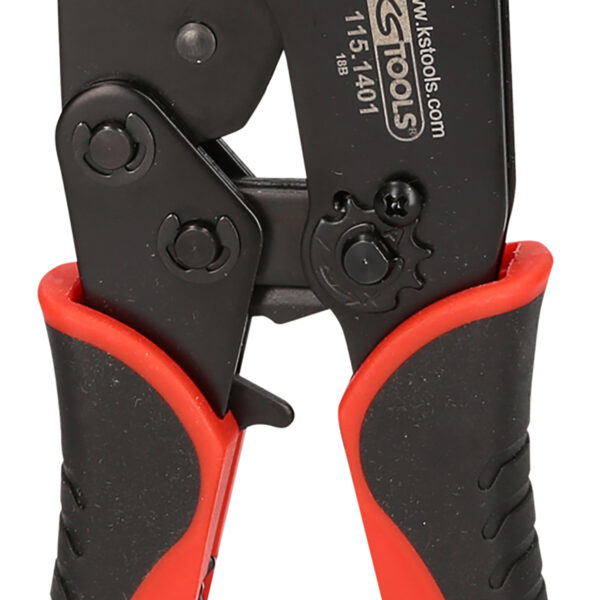 FOT_PRO_VAR_115.1255.4_SALL_AING_V1