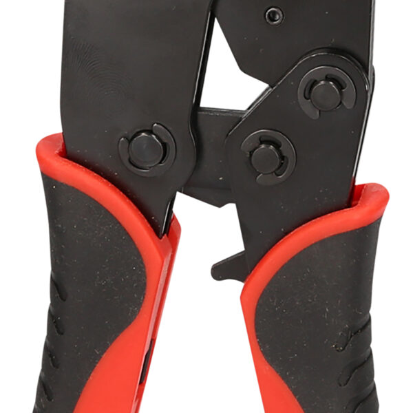 FOT_PRO_VAR_115.1255.6_SALL_AING_V1