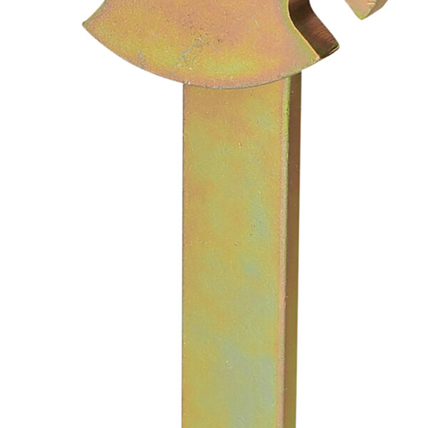 FOT_PRO_ALG_AUTO_400.9070_SALL_AING_V1