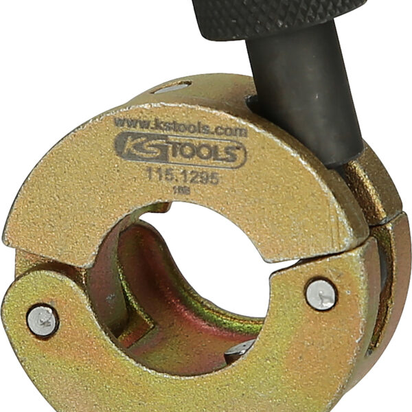 FOT_PRO_ALG_115.1295_SALL_AING_V1