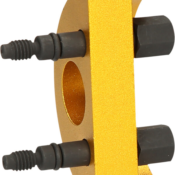 FOT_PRO_VAR_700.1904.2_SALL_AING_V1