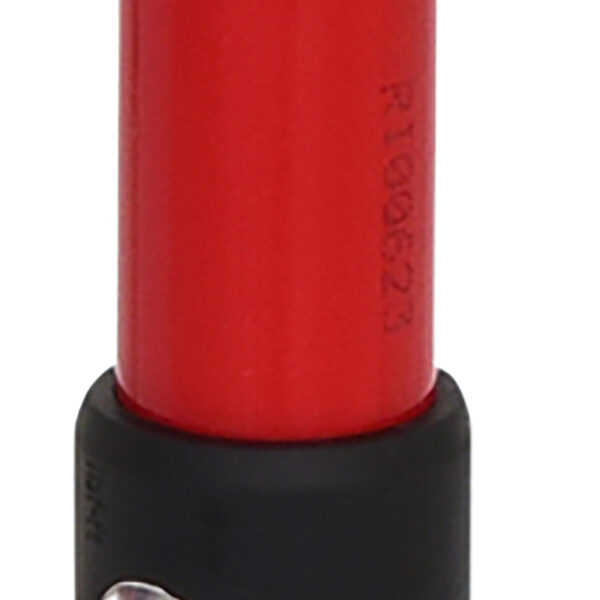 FOT_PRO_ALG_516.1932_SALL_AING_V1