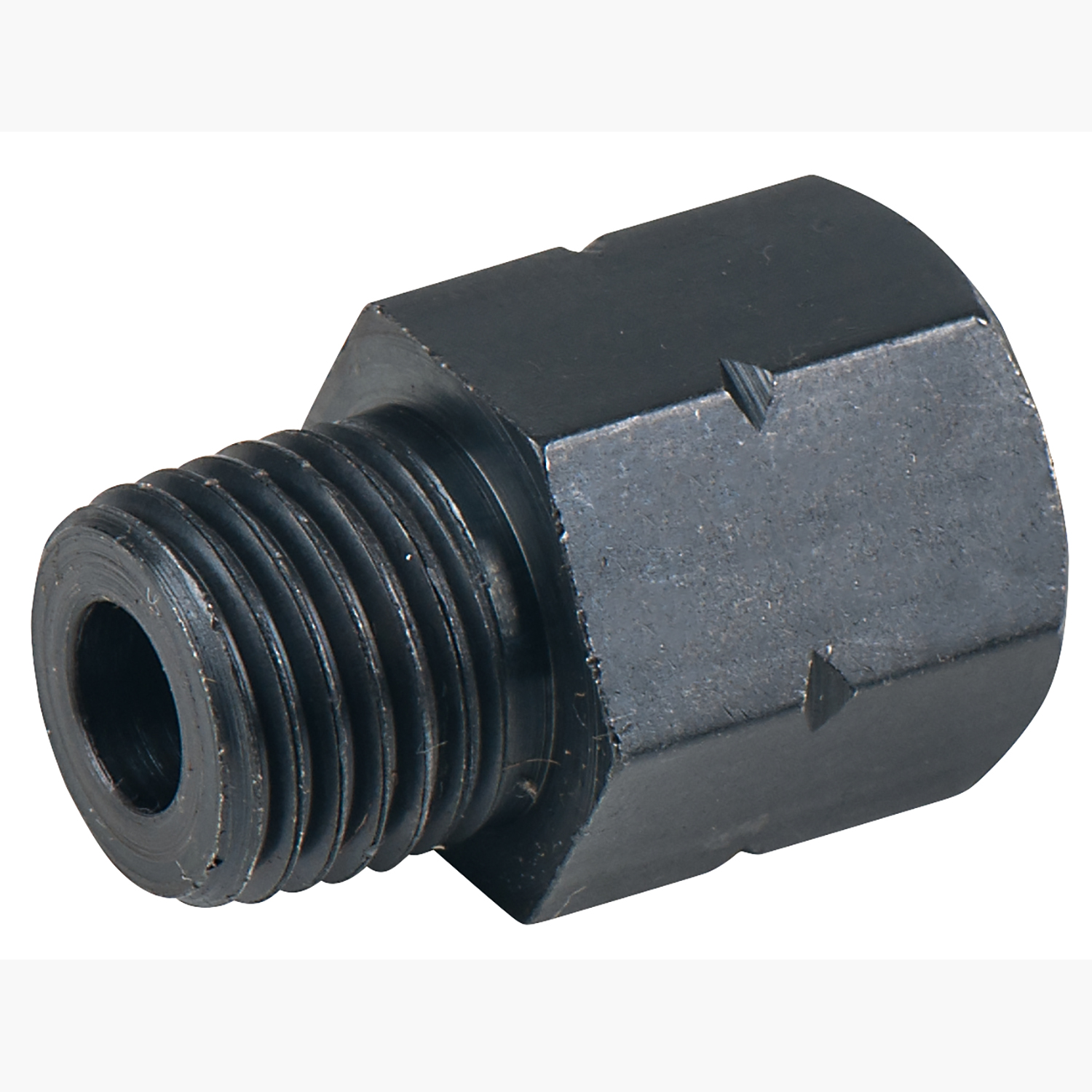 FOT_PRO_ALG_515.5065-R013P_SALL_AING_V1