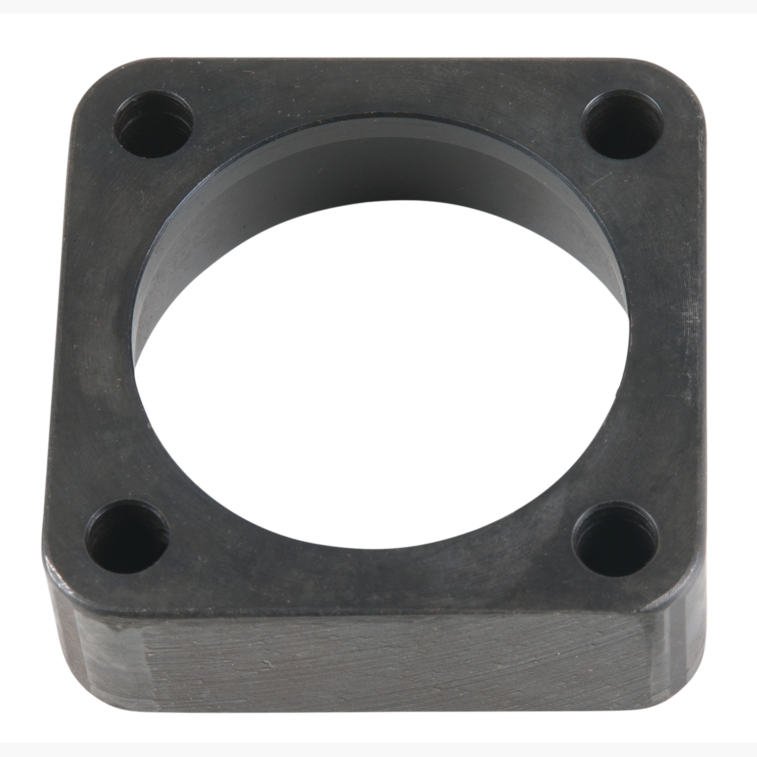 FOT_PRO_ALG_515.4880-R018P_SALL_AING_V1