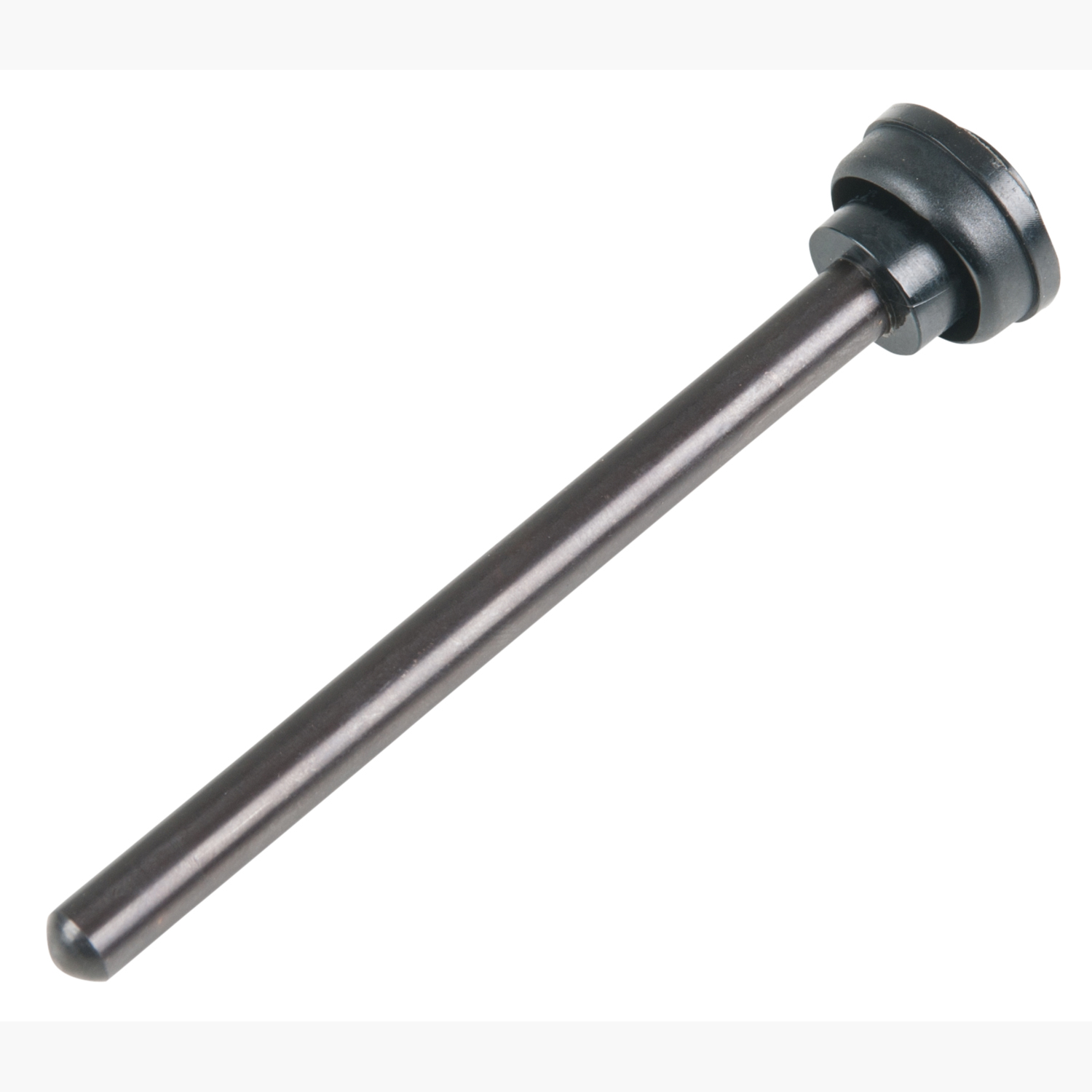 FOT_PRO_ALG_515.4880-R005P_SALL_AING_V1