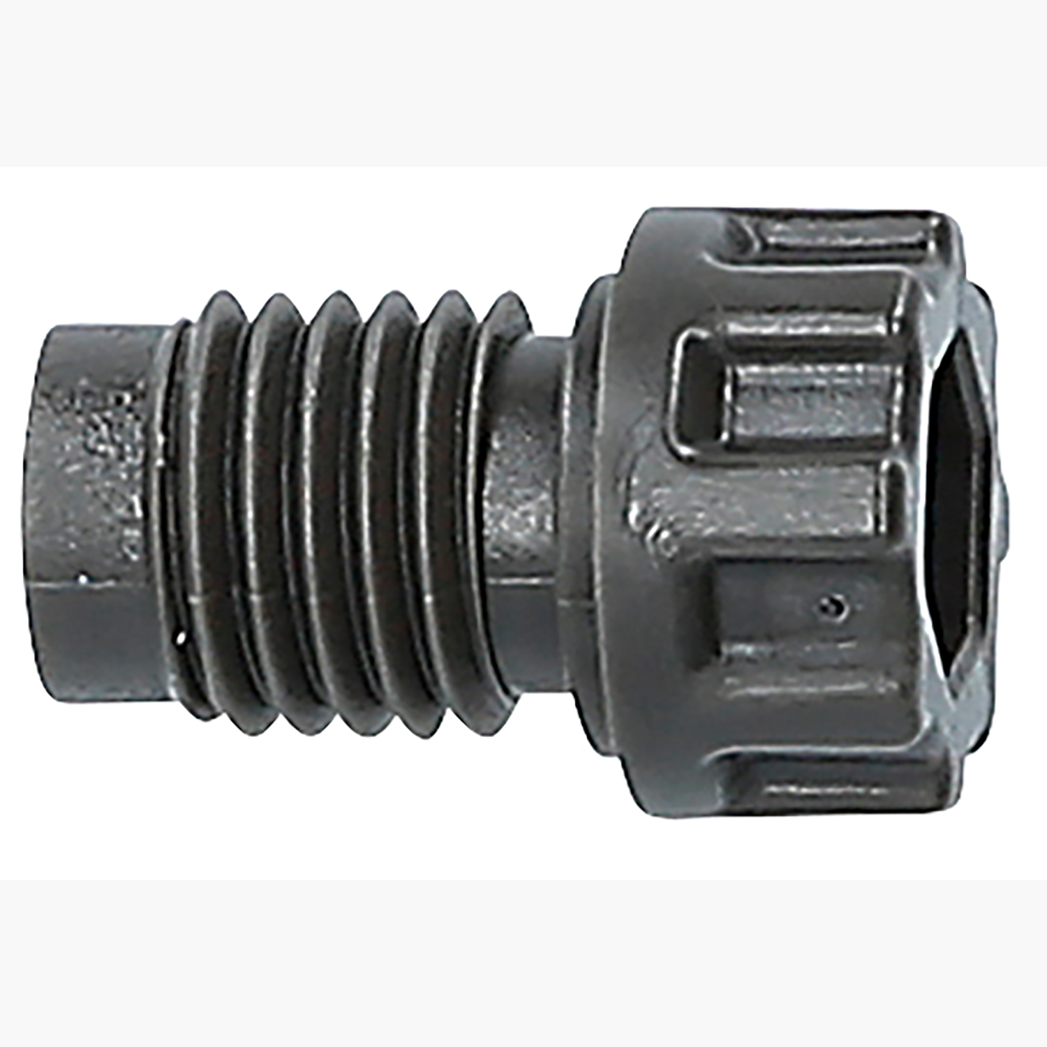 FOT_PRO_ALG_515.3350-R038P_SALL_AING_V1