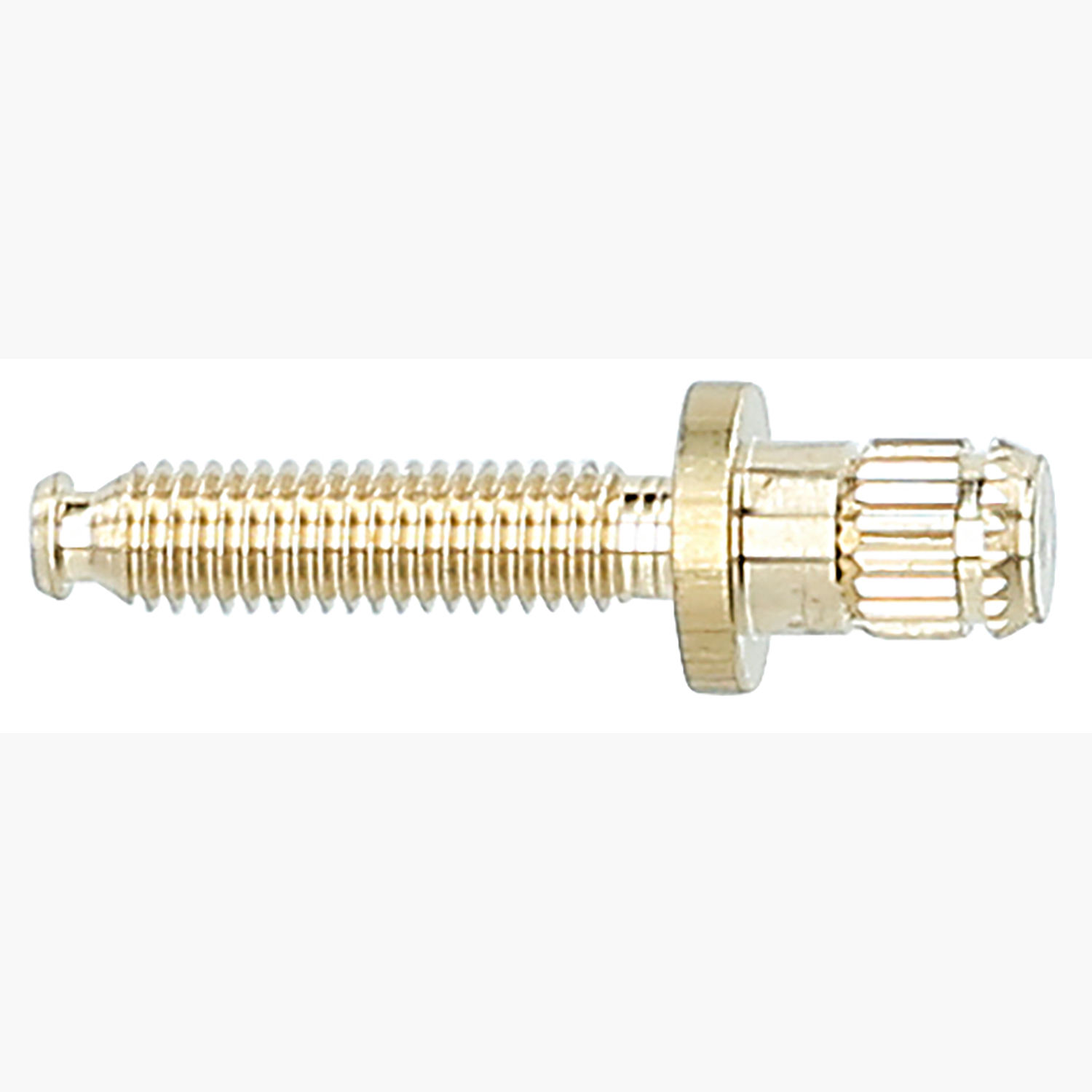 FOT_PRO_ALG_515.3350-R005P_SALL_AING_V1