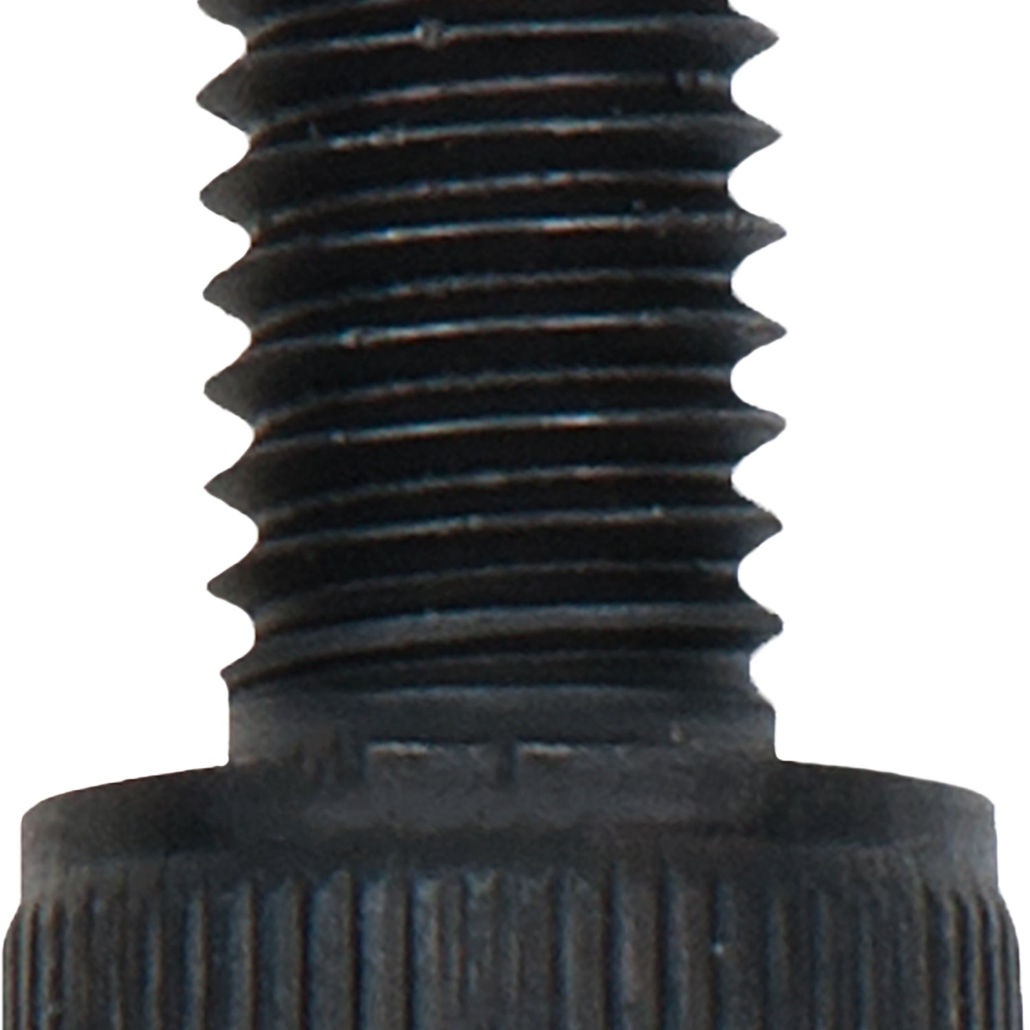 FOT_PRO_ALG_DRLU_515.3061-R036P_SALL_AING_V1