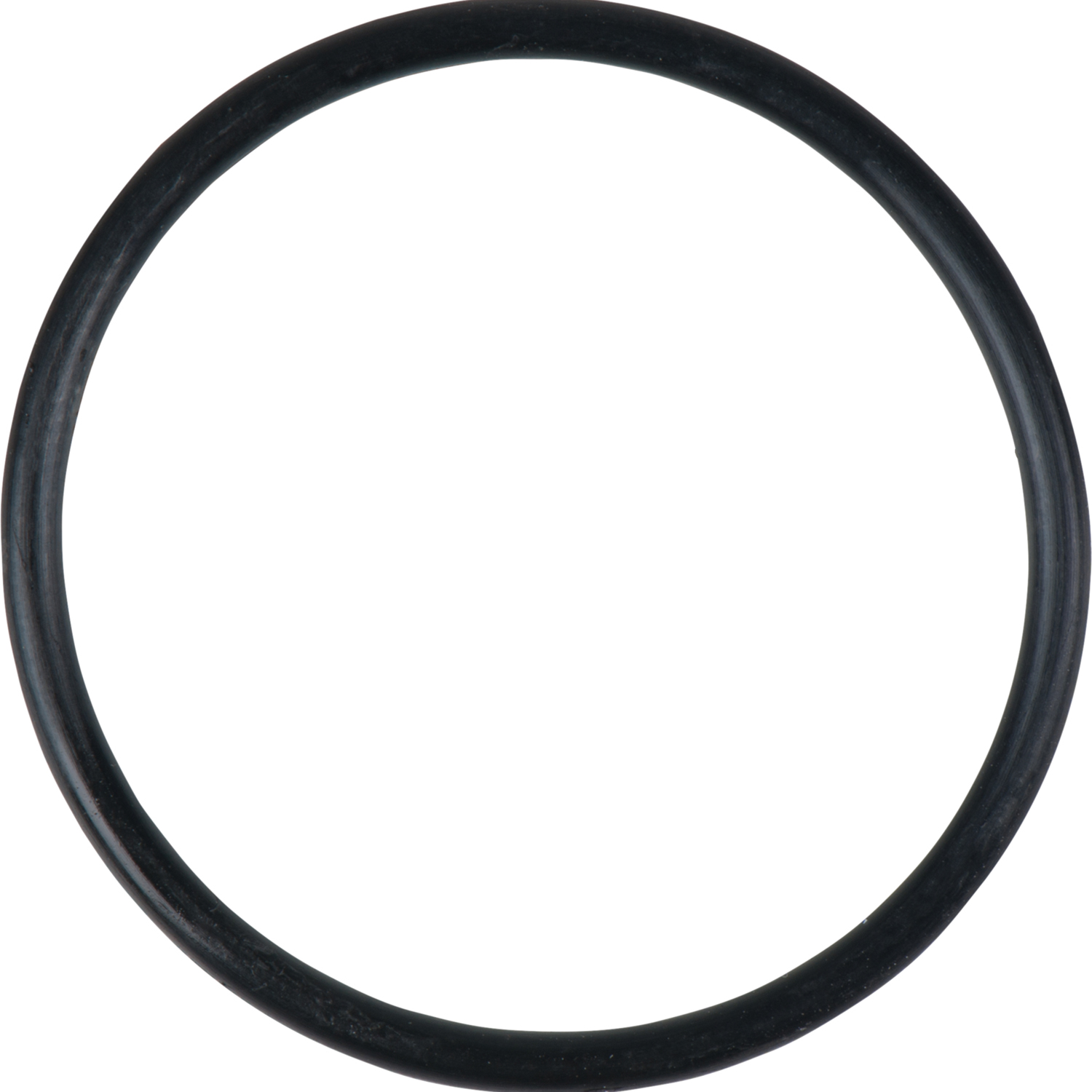 FOT_PRO_ALG_DRLU_515.1980-R028P_SALL_AING_V1