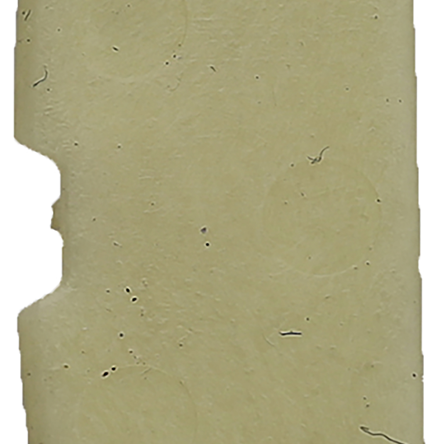 FOT_PRO_ALG_DRLU_515.1625-R028P_SALL_AING_V1