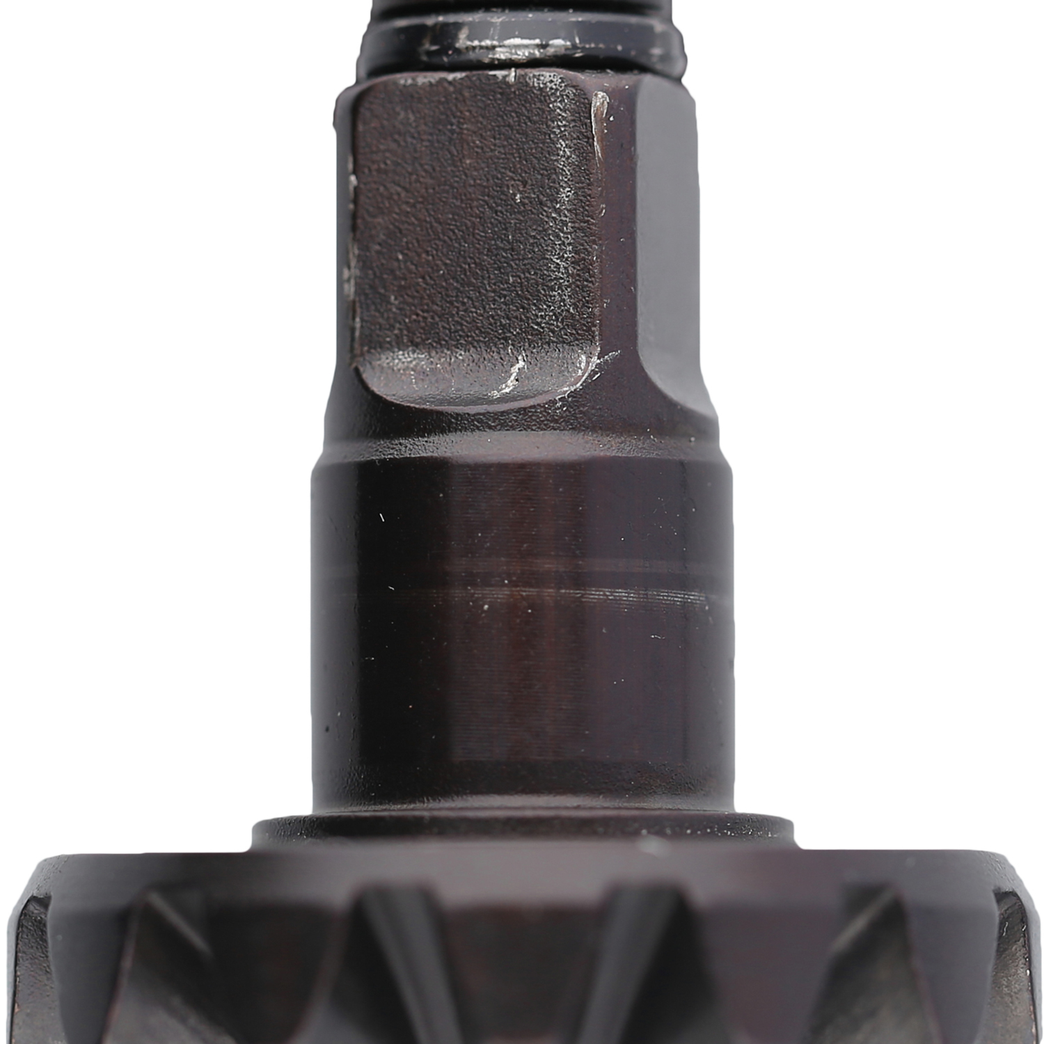 FOT_PRO_ALG_DRLU_515.1625-R006P_SALL_AING_V1