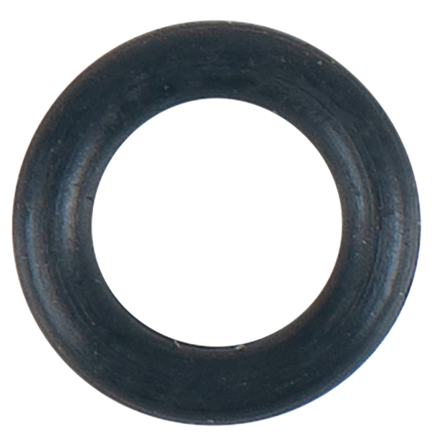 FOT_PRO_ALG_515.1470-R004P_SALL_AING_V1