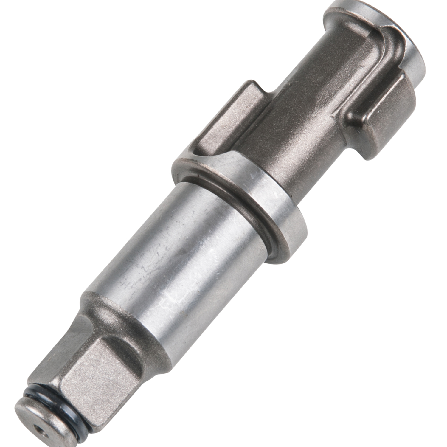 FOT_PRO_ALG_515.1195-R002P_SALL_AING_V1