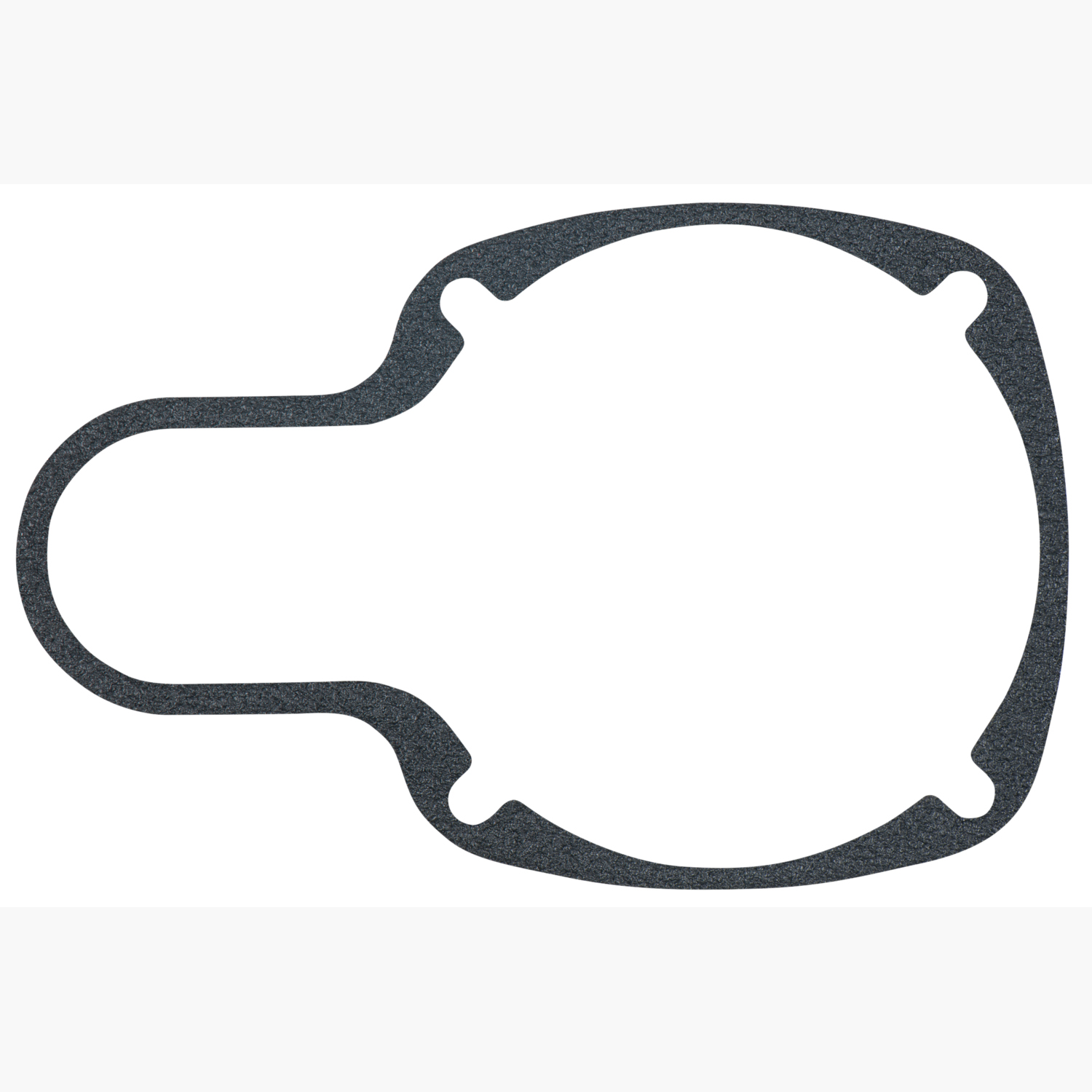 FOT_PRO_ALG_515.1150-R013P_SALL_AING_V1