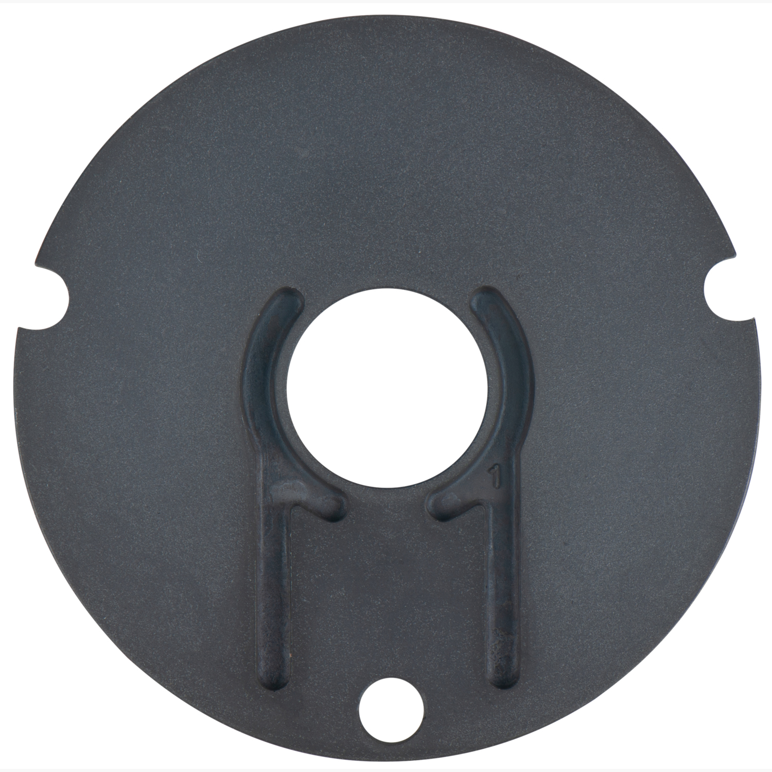 FOT_PRO_ALG_515.1150-R008P_SALL_AING_V1