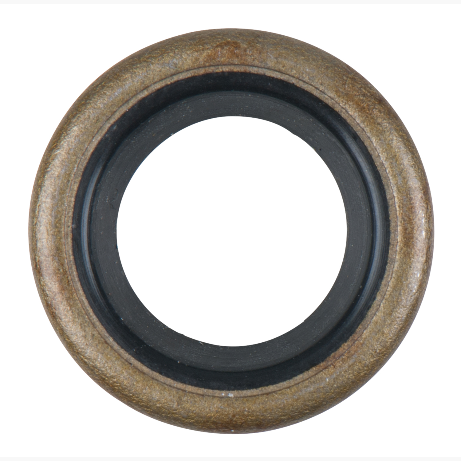 FOT_PRO_ALG_DRLU_152.1061-R033P_SALL_AING_V1