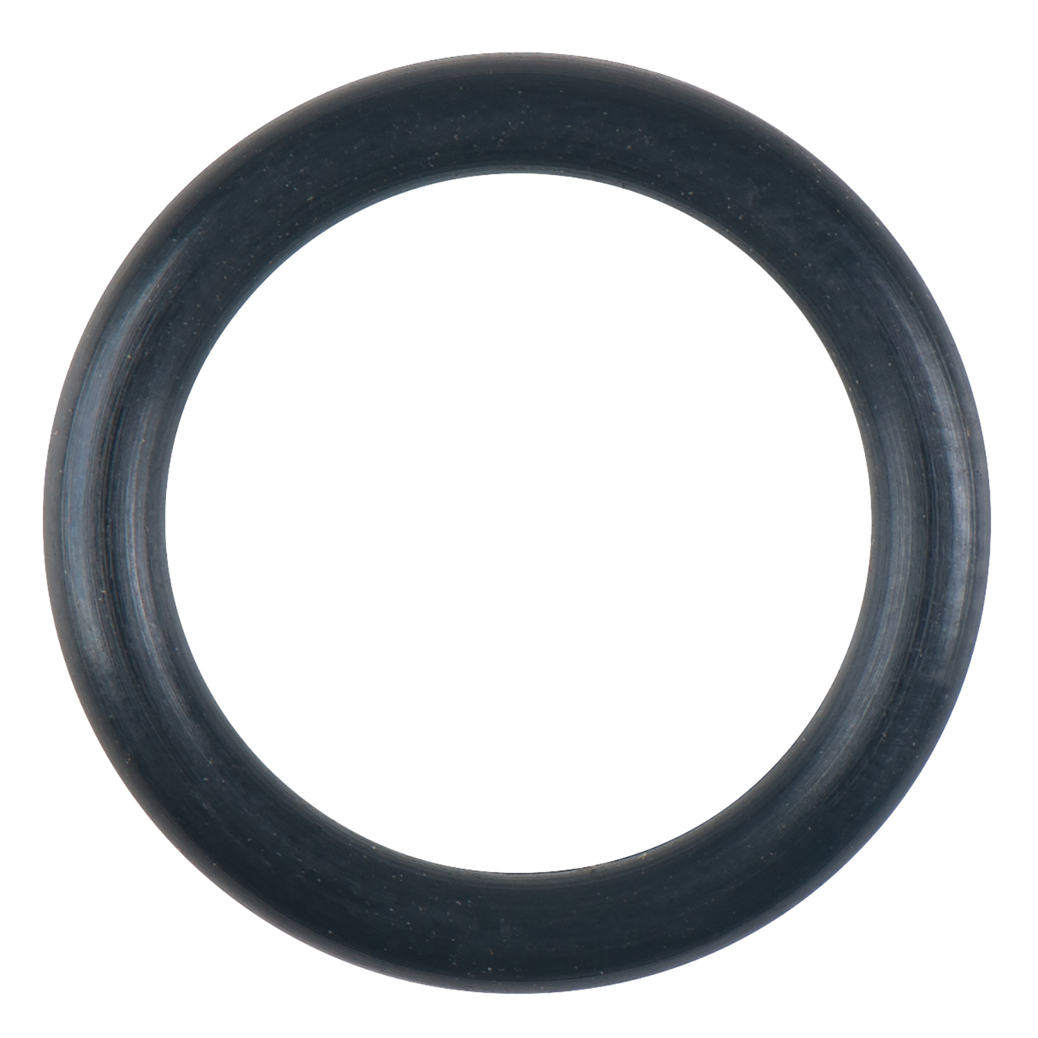 FOT_PRO_ALG_150.2039-R018P_SALL_AING_V1