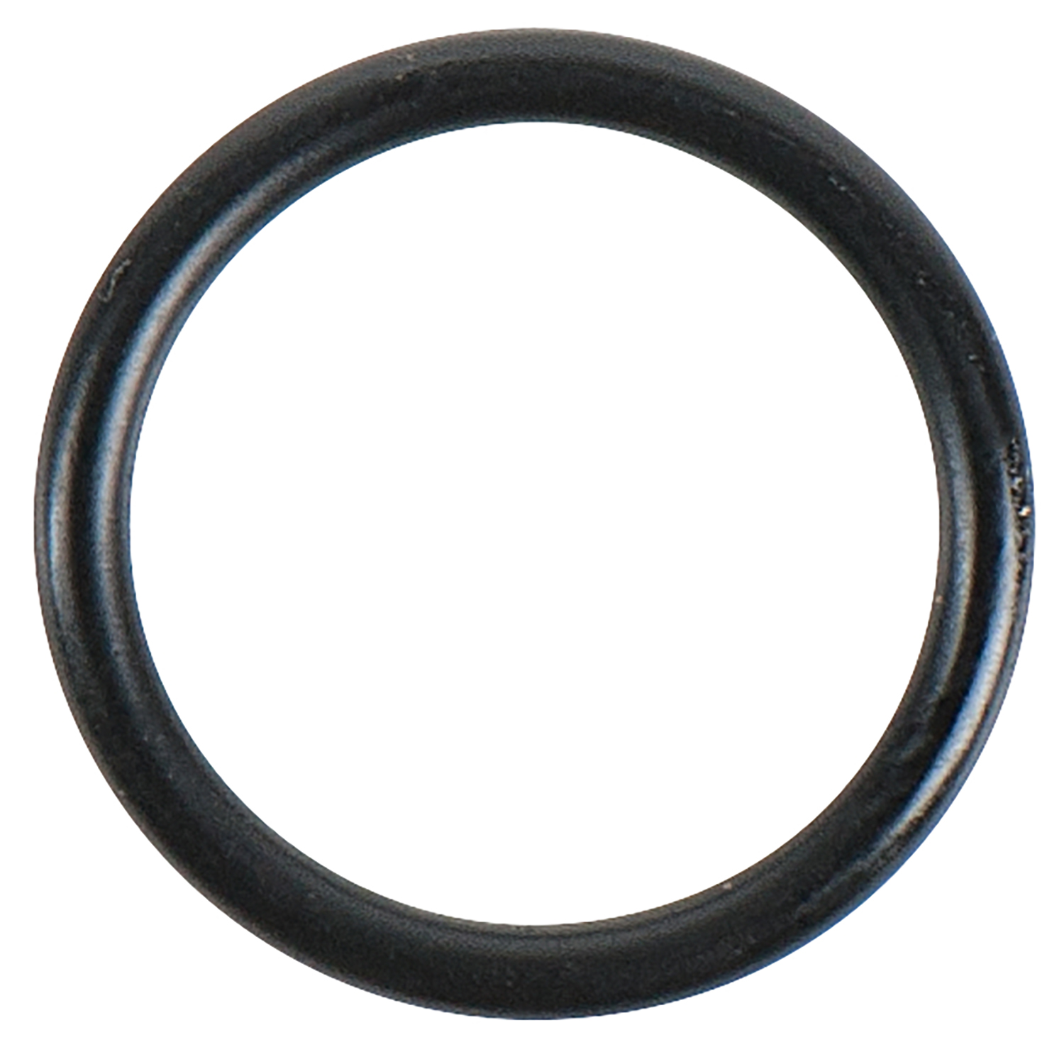 FOT_PRO_ALG_DRLU_150.1653-R017P_SALL_AING_V1