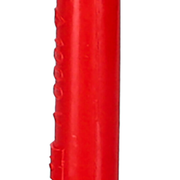 FOT_PRO_ALG_117.1458_SALL_AING_V1