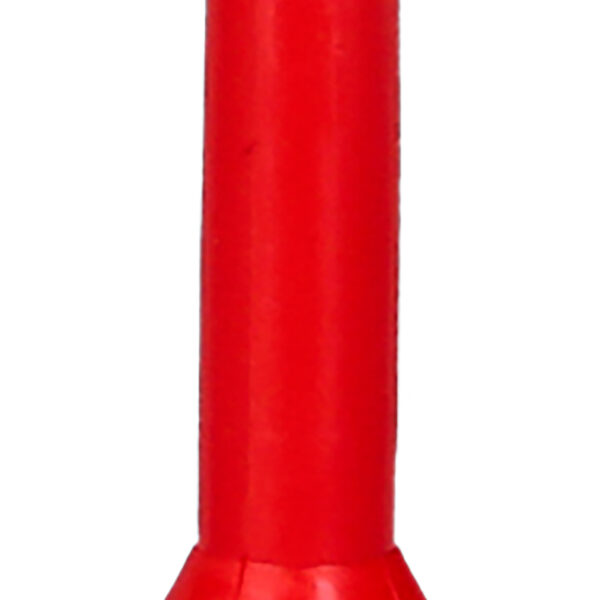 FOT_PRO_ALG_117.1457_SALL_AING_V1