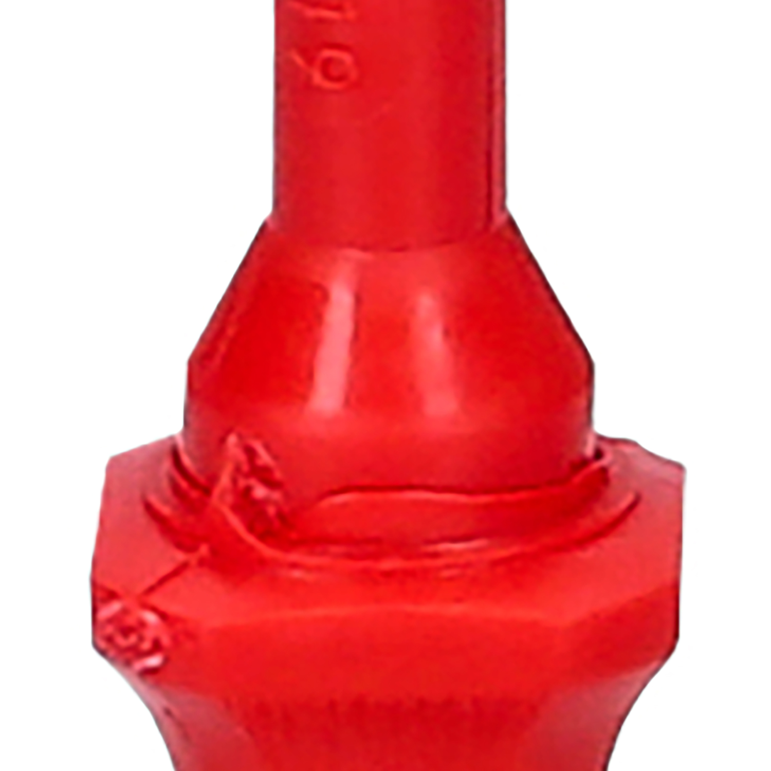 FOT_PRO_ALG_117.1455_SALL_AING_V1