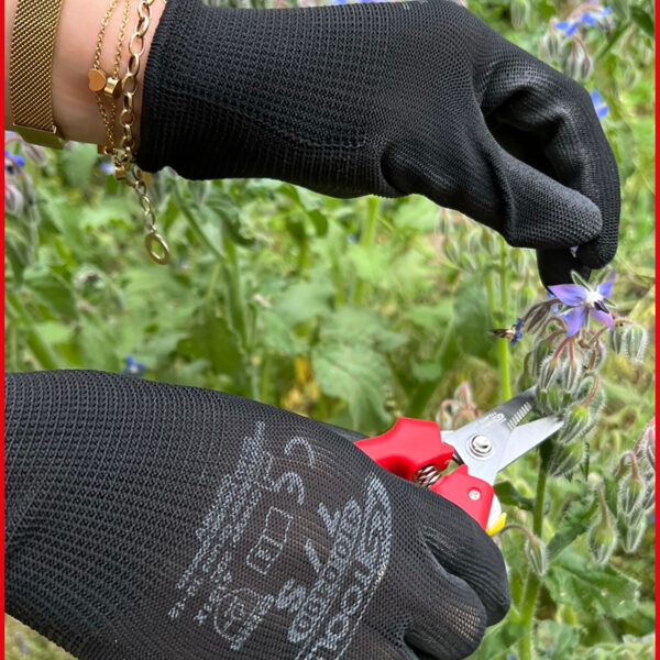 FOT_ANW_ALG_WZAL_310.0490.AW1_SALL_AING_V1