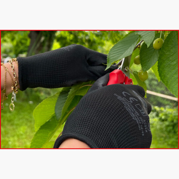 FOT_ANW_ALG_WZAL_310.0490.AW2_SALL_AING_V1