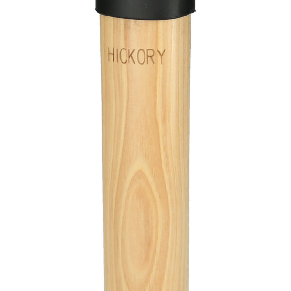 FOT_PRO_ALG_142.5111_SALL_AING_V1