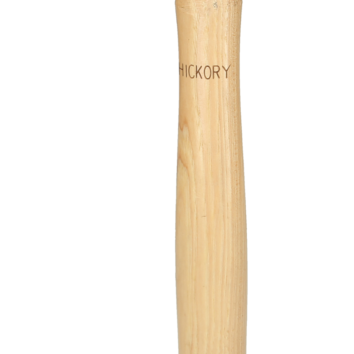 FOT_PRO_ALG_142.1417_SALL_AING_V1