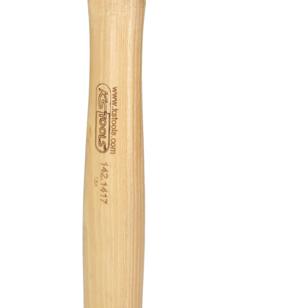 FOT_PRO_VAR_142.1417.2_SALL_AING_V1