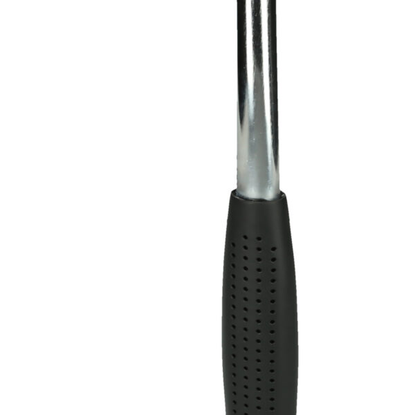 FOT_PRO_ALG_142.1411_SALL_AING_V1