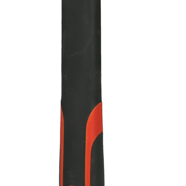 FOT_PRO_VAR_142.1402.2_SALL_AING_V1