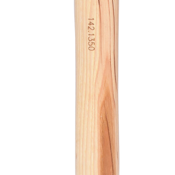 FOT_PRO_ALG_142.1350_SALL_AING_V1