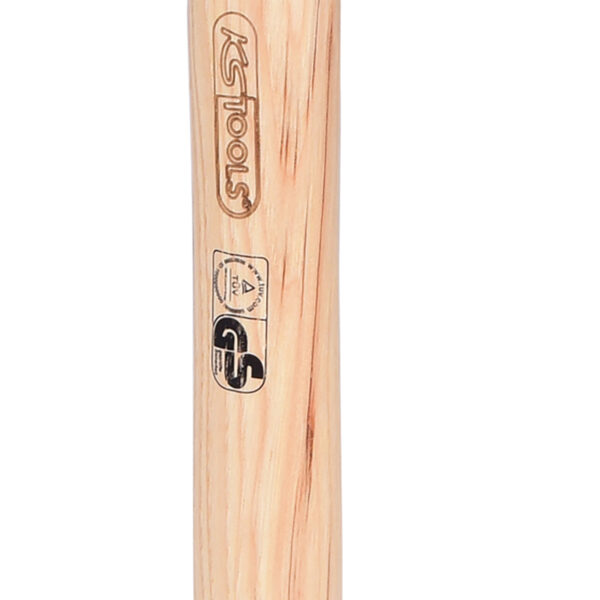 FOT_PRO_VAR_142.1350.2_SALL_AING_V1