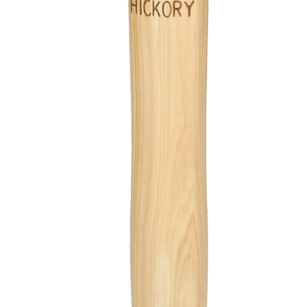 FOT_PRO_ALG_142.1315_SALL_AING_V1