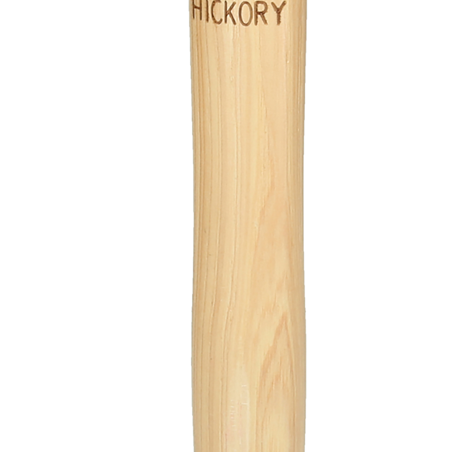 FOT_PRO_ALG_142.1315_SALL_AING_V1