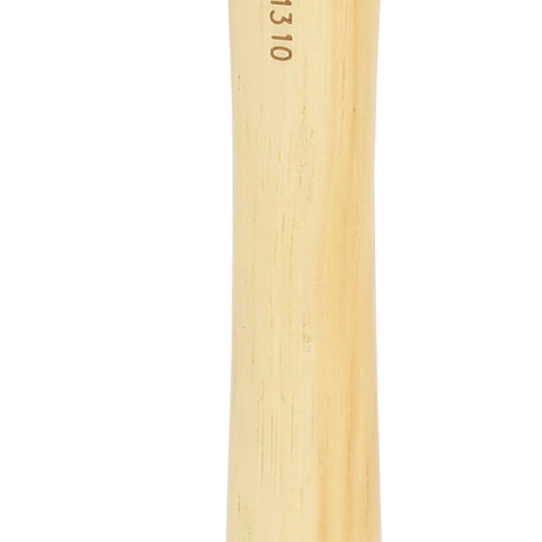 FOT_PRO_ALG_142.1310_SALL_AING_V1