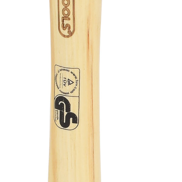 FOT_PRO_VAR_142.1310.2_SALL_AING_V1