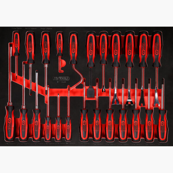 FOT_PRO_ALG_811.3024_SALL_AING_V1