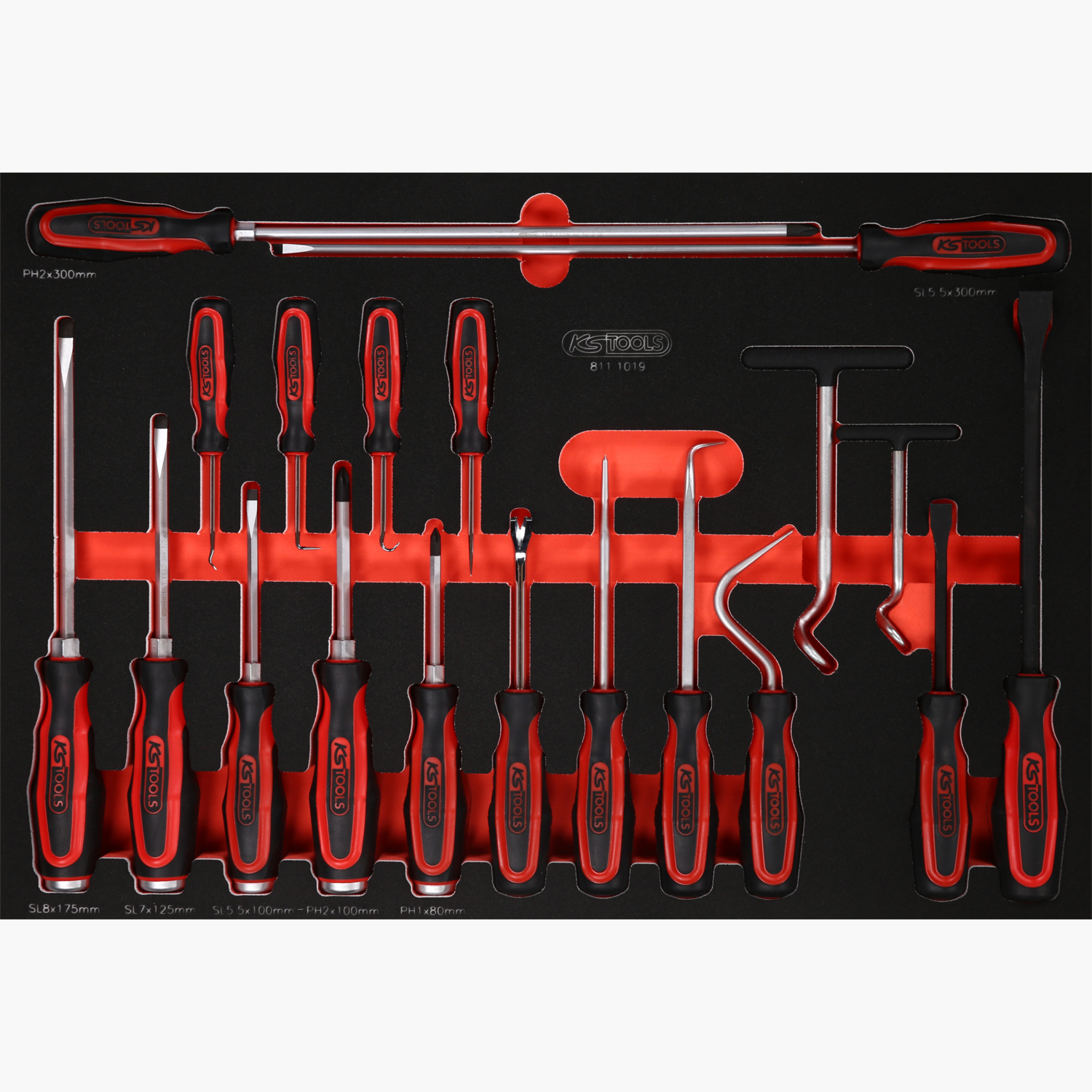 FOT_PRO_ALG_811.1019_SALL_AING_V1