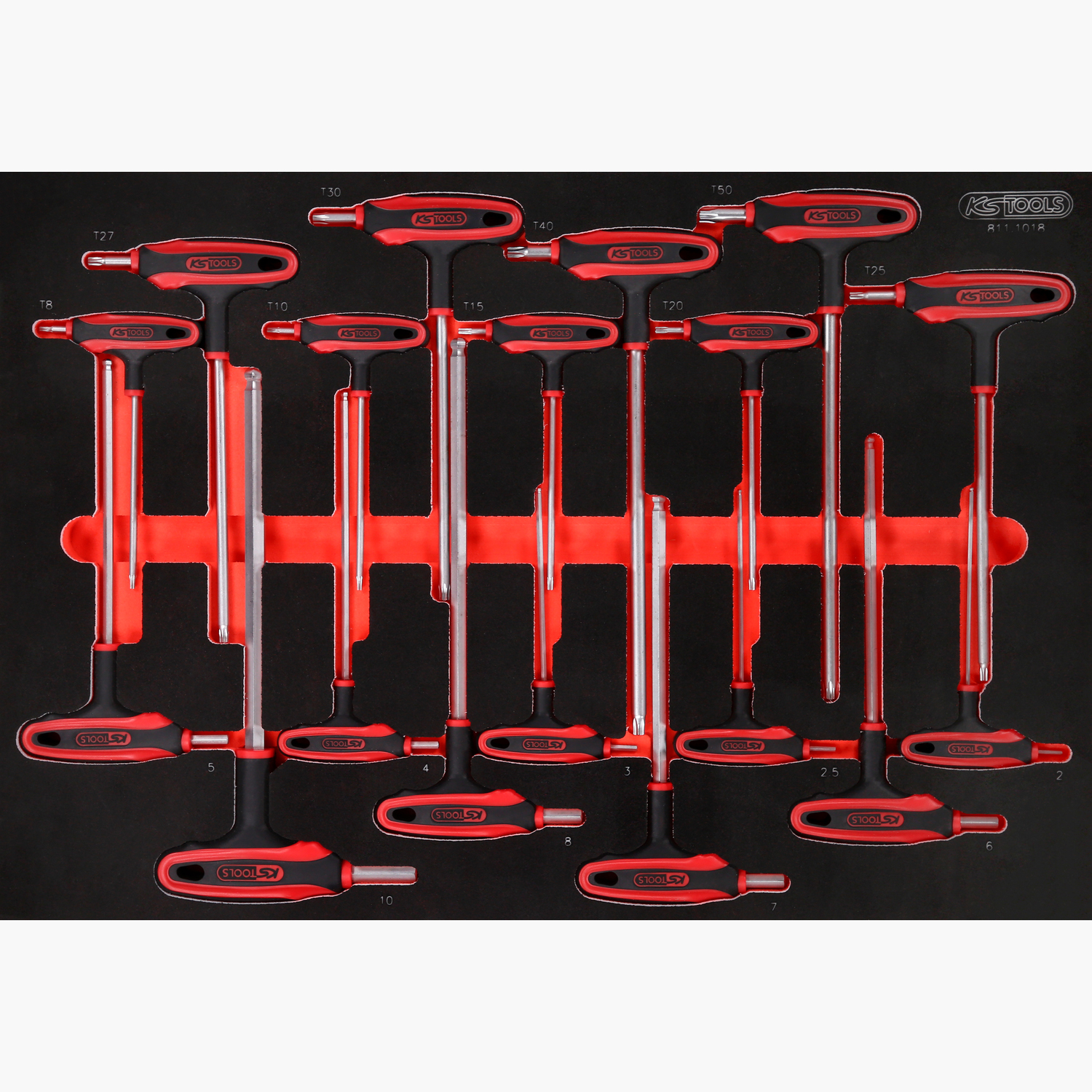 FOT_PRO_ALG_811.1018_SALL_AING_V1