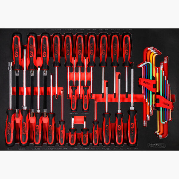 FOT_PRO_ALG_811.0041_SALL_AING_V1