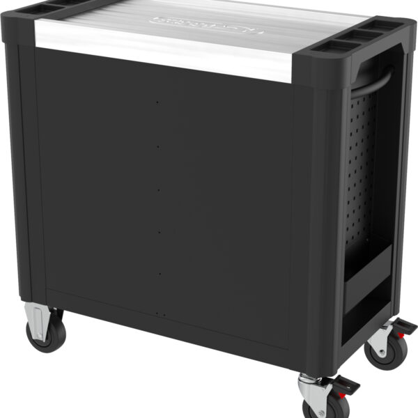 FOT_PRO_VAR_873.3008.2_SALL_AING_V1