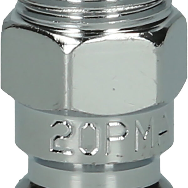 FOT_PRO_ALG_999.9089_SALL_AING_V1