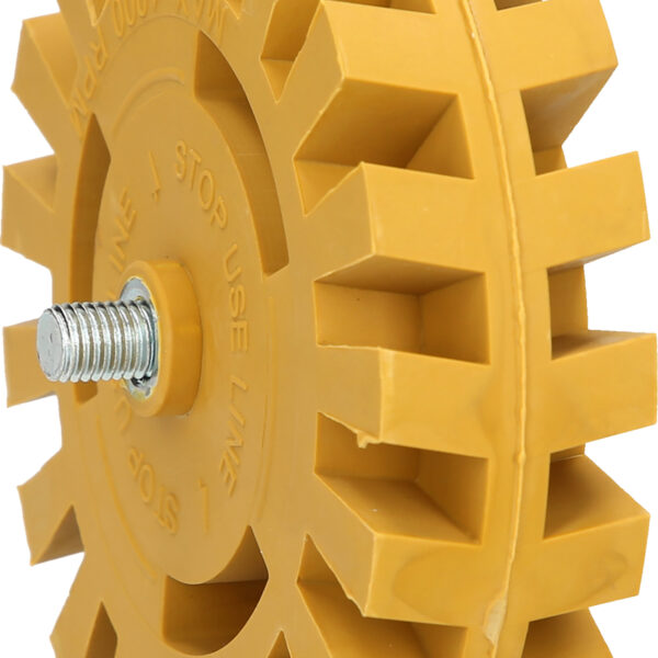 FOT_PRO_ALG_515.1249_SALL_AING_V1