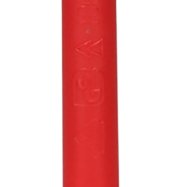 FOT_PRO_ALG_117.1533_SALL_AING_V1